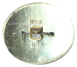 Значок Брест северные ворота