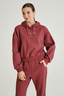 Худи утепленное Красный ICONIC Sweat Hoodie