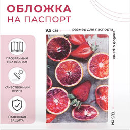 Обложка для паспорта, цвет разноцветный