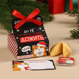 Набор Котэ, печенье с предсказанием 1 шт., молочный шоколад 5 г., бумажка для исполнения желаний