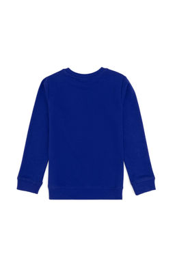 Erkek _ocuk Mor Bisiklet Yaka Basic Sweatshirt