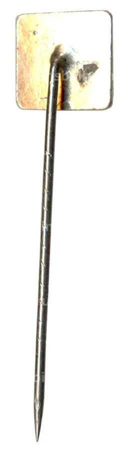 Значок рекламный DSR Lines (Германия)