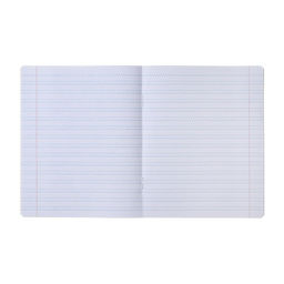 Цена за 10 шт. Тетрадь 12 листов в частую косую линию Животное племя, обложка мелованный картон, ВД-лак, блок офсет, МИКС - Calligrata фото 2