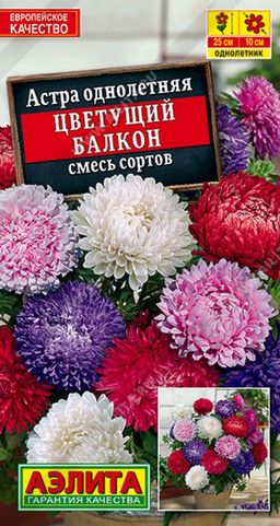 Астра Цветущий балкон, смесь сортов - Аэлита фото 6