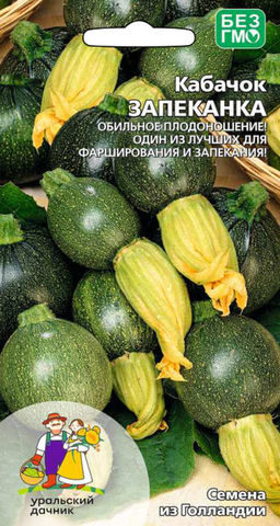 Кабачок ЗАПЕКАНКА Обильное плодоношение! Идеален для фарширования и запекания!