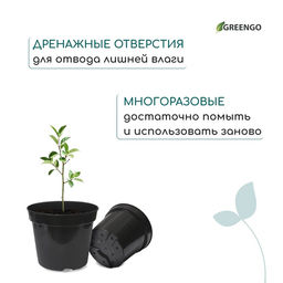Цена за 7 шт. Горшок для рассады, 2 л, d = 17,5 см, h = 13 см, пластик, чёрный, Greengo фото 7