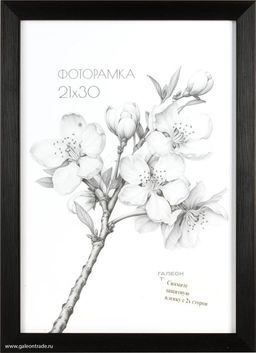 Фоторамка 40х50 /ZR208A-22 / ф - ГалеонТрейд фото 2