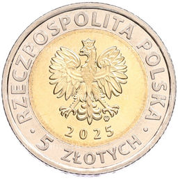 Монета 5 злотых 2025 года Польша Открой для себя Польшу  Ратуша Бжега