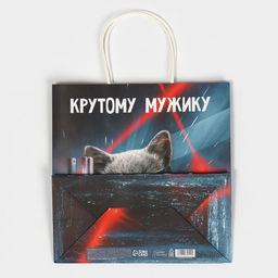Пакет подарочный Мужику, 22 х 22 х 11 см - Дарите счастье фото 7