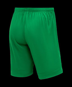 Шорты игровые JOGEL DIVISION PerFormDRY Union Shorts, зеленый