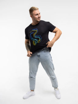 Футболка мужская, цвет черный