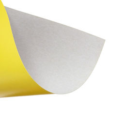 Картон цветной А4, 8 листов, 8 цветов Кот и Пёс, мелованный 240 г/м2, в папке - Calligrata фото 4