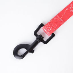 Поводок One line, 2 см, 1.5 м - Пушистое счастье фото 7