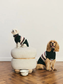 джемпер (попона) для животных / Zarina  фото 3