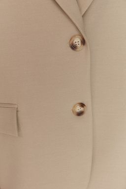 Limited Edition Vizon Regular Astarl? Dokuma Blazer Ceket TWOAW23BC00132