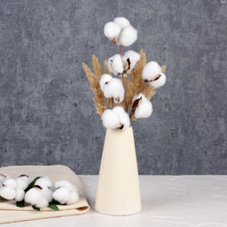 Ветка декоративная хлопок 6 коробочек на 3 веточках 60 см / YX-101 /уп 400/А - Галеонтрейд фото 3