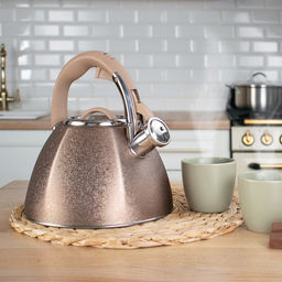 Чайник из нержавеющей стали 3л Айгрет s0,5мм, дно д22см, s0,5мм, индукционный диск д16,5см, со свистком, внешняя полировка свистка, внутренняя - матовая, пластмассовая ручка с покрытием soft-touch, цветная коробка , TalleR (Китай) - Домашняя мода фото 4