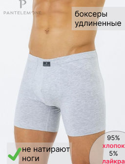 Трусы-шорты удлинённые PMHL-139 Серый - Pantelemone фото 7