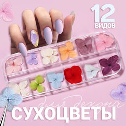 Сухоцветы для декора Нежность, объёмные, 12 видов, в футляре, разноцветные