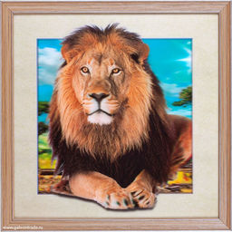 Картина 5D 40х40 211 / ZR8210H-222411 /