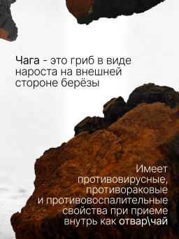 Чага, березовый гриб порошок 100г (состав: 100% порошок из чаги) - Sneko Gold фото 2