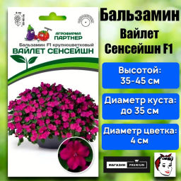 Бальзамин Уоллера крупноцветковый Вайлет Сенсейшн - Партнер фото 5