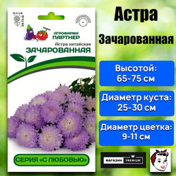 3280P Астра китайская ЗАЧАРОВАННАЯ 5шт