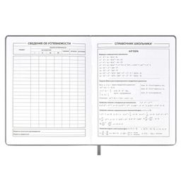 Дневник школьный арт. 59637 / 15 КЕДЫ СЕРЫЕ - Феникс+ фото 9