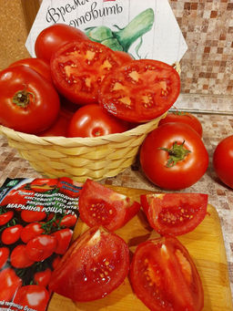 Томат МАРЬИНА РОЩА F1 Уникальный! В вашей теплице будет целая роща томатов, которой можно восхищаться бесконечно! - Уральский дачник фото 3