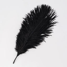 Цена за 2 шт. Перо для декора 1 шт., размер  20.5?7.5 см, чёрное