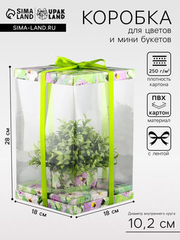 Коробка PVC, для цветов и букетов, с лентой, 28?18?18 см, зеленый