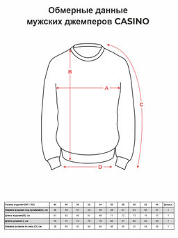 Джемпер мужской CASINO c129-полосы 3D (м.серый)  фото 2