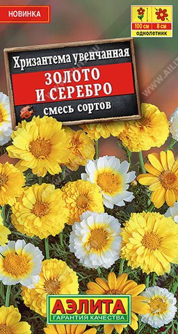 Хризантема Золото и серебро махровая, смесь сортов