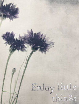 VILATTE / Футболка из премиального хлопка с эластаном фото 2