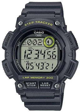 Наручные часы Casio мужские WS-2100H-8AVDF