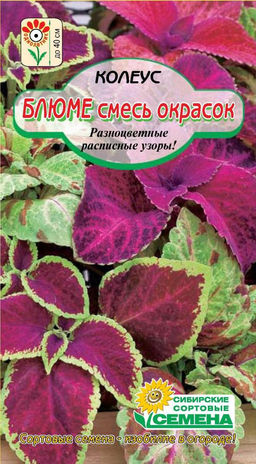 Блюмме, смесь колеус 0,05гр.(ссс)