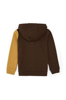 Erkek _ocuk Kahverengi Fermuarl_ Kap__onlu Sweatshirt