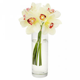 Цветок "Орхидея" цвет - ванильный, 28см, набор 6 штук (Китай)