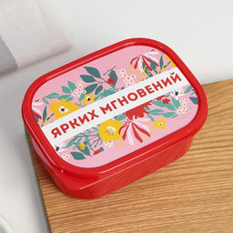 Цена за 2 шт. Ланч - бокс прямоугольный Ярких мгновений, 500 мл