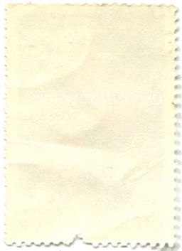 Марка Гвоздика ползучая 1977 год