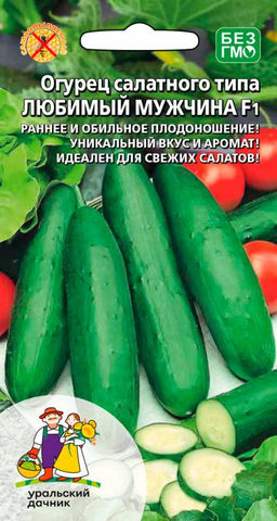Огурец ЛЮБИМЫЙ МУЖЧИНА F1 Раннее и обильное плодоношение! Уникальный вкус и аромат! Идеален для свежих салатов!