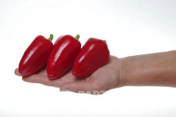 Перец сладкий Фьюджи - Партнер фото 4