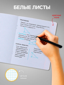 Комплект тетрадей из 10 штук, 24 листа в клетку Calligrata «Школьная», обложка мелованный картон, ВД-лак, блок офсет, 5 видов по 2 штуки