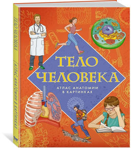 Тело человека. Атлас анатомии в картинках. Барсотти Э.