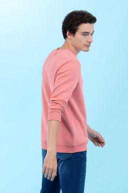 Somon Bisiklet Yaka Basic Sweatshirt