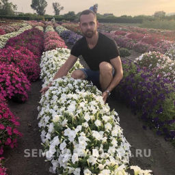 Петуния МиМи Лучиана каскадная белая - Партнер фото 7