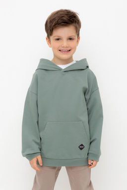 КР 302680/полынь джемпер (худи) для мал
