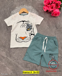 Летний костюм двойка для мальчика