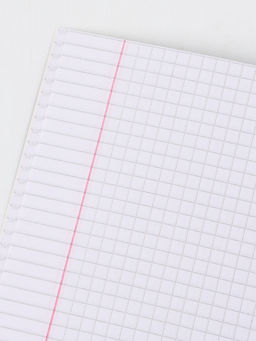 Цена за 20 шт. Тетрадь А5, 48 листов в клетку "Тайные приключения"