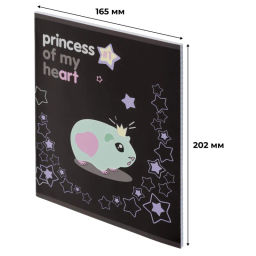 Цена за 2 шт. Тетрадь общая А5 48л Princess,клет,скреп, ВД-лак